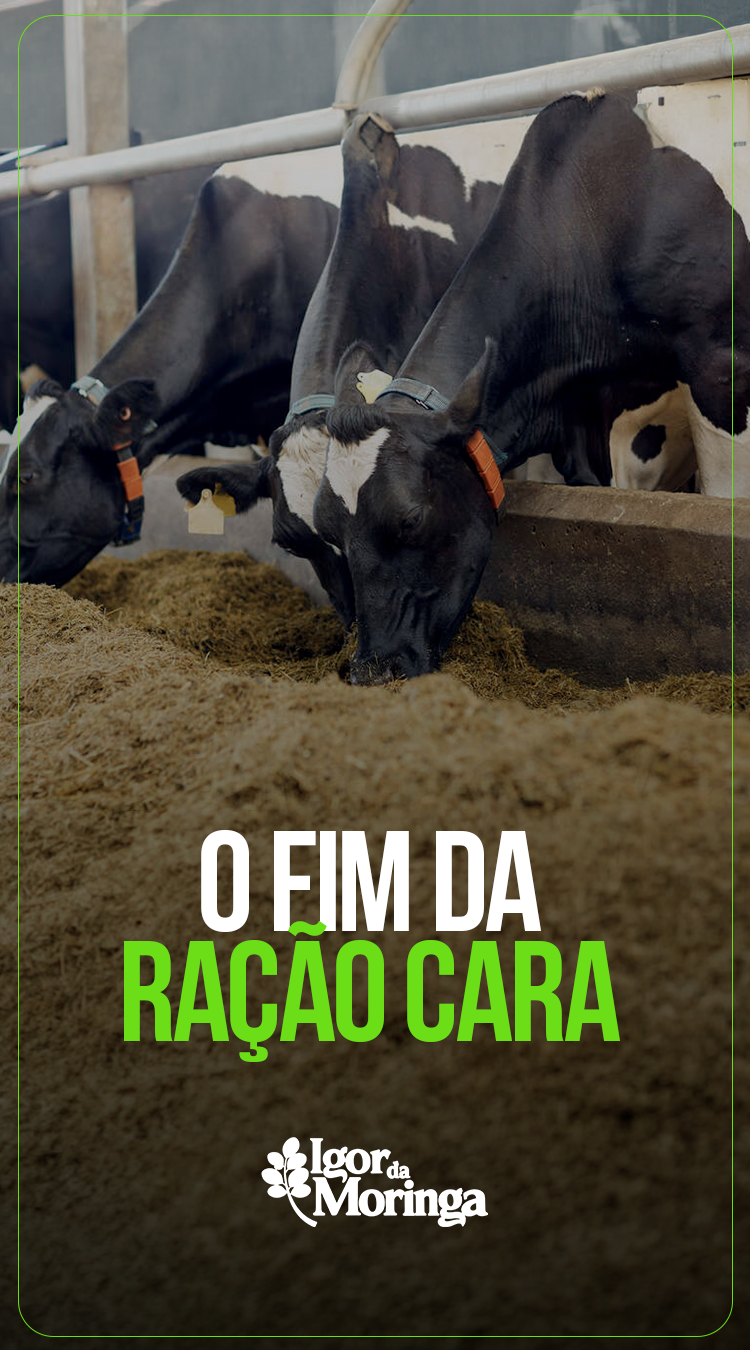 RacaoCara