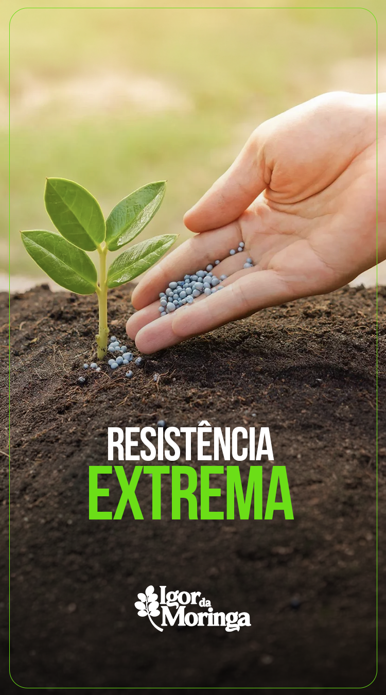 ResistenciaExtrema